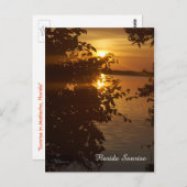 マッラチャフロリダサンライズポストカード ポストカード (正面/裏面)