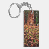 マツの円錐を持つポンデローサの古い樹木 キーホルダー (正面左)