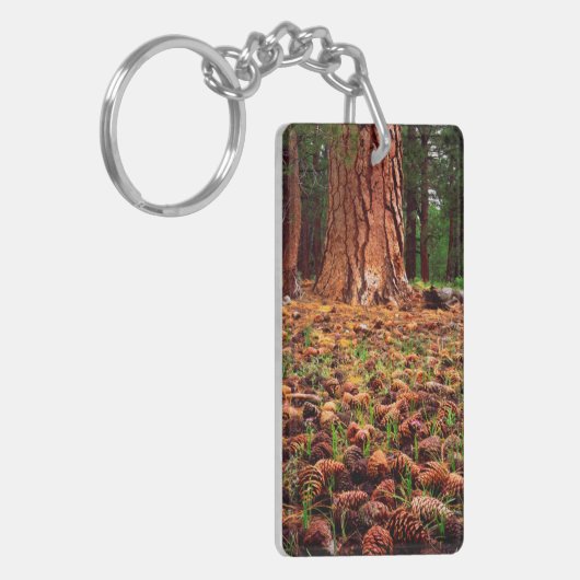 マツの円錐を持つポンデローサの古い樹木 キーホルダー (正面左)