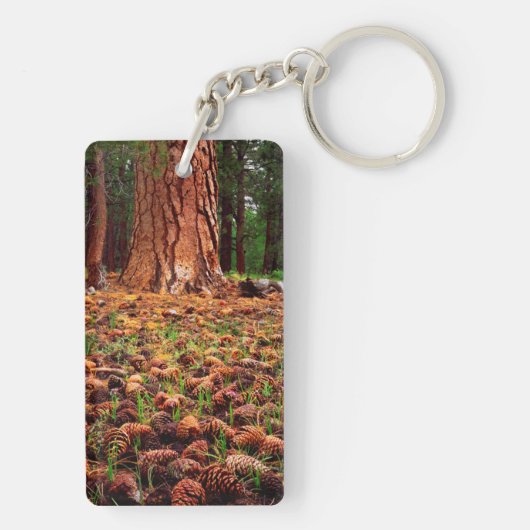 マツの円錐を持つポンデローサの古い樹木 キーホルダー (裏面)