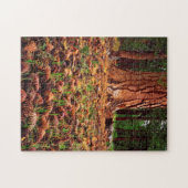 マツの円錐を持つポンデローサの古い樹木 ジグソーパズル (横)