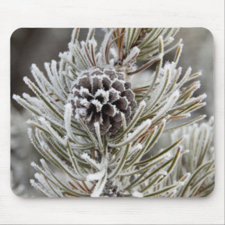 マツの円錐(凍っていイエローストーン) マウスパッド