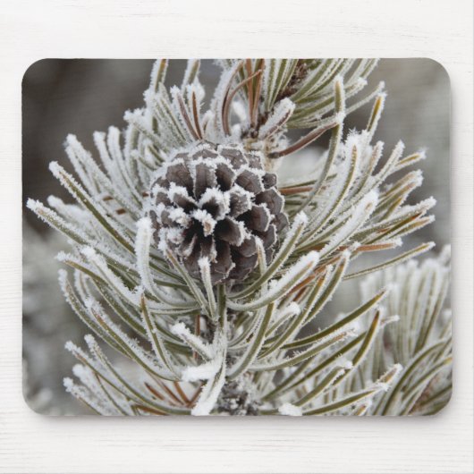 マツの円錐(凍っていイエローストーン) マウスパッド (正面)