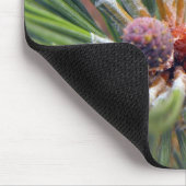 マツの枝の常緑樹 マウスパッド (コーナー)