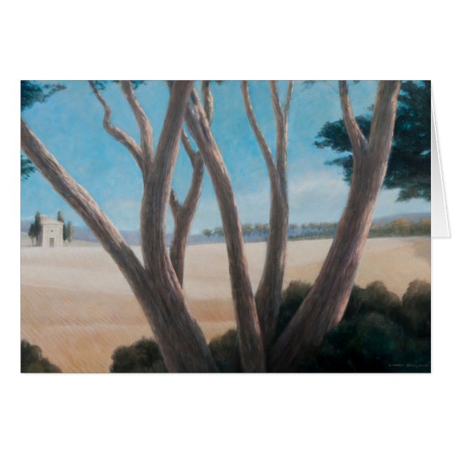 マツはPienza 2012年に近づきます (正面横)