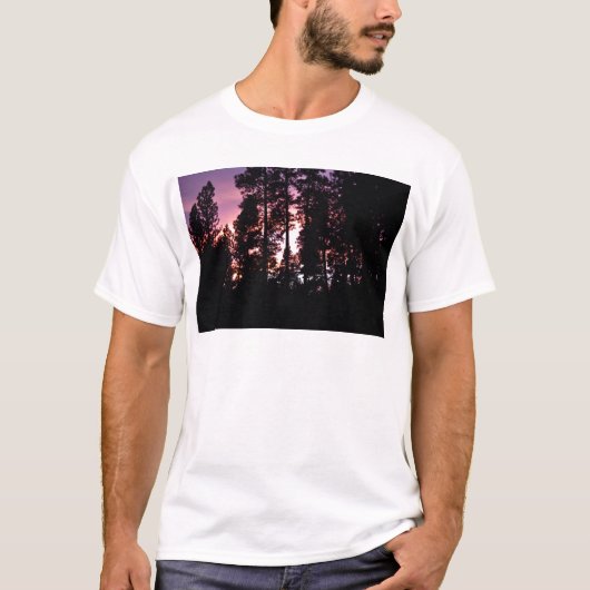 マツを通した日没 Tシャツ (正面)