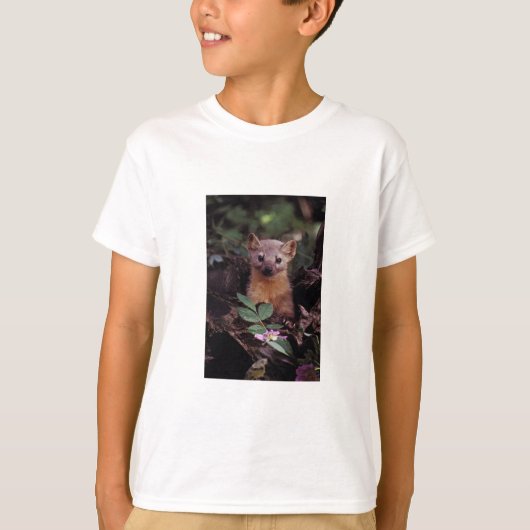 マツテン Tシャツ (正面)