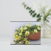 マツバボタン、 多肉植物の花 ポストカード (スタンド正面)