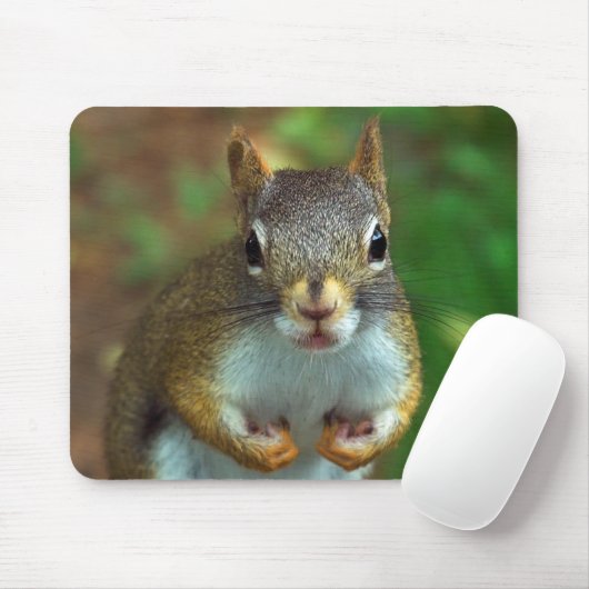 マツリス マウスパッド (マウス)