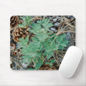 マツ円錐形およびシダのマウスパッド マウスパッド (マウス)