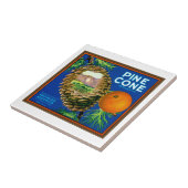 マツ円錐形のオレンジ タイル (側面)