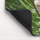 マツ円錐形のナット マウスパッド (コーナー)