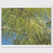 マツ弓 ラッピングペーパー (フラット)