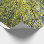 マツ弓 ラッピングペーパー (角)