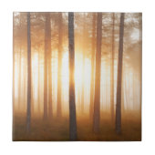 マツ森林景色 タイル (正面)