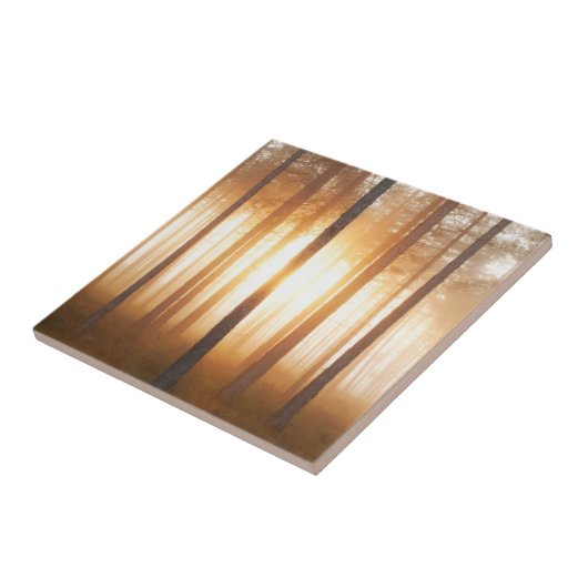 マツ森林景色 タイル (側面)