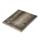 マツ森林、オレゴン タイル (側面)