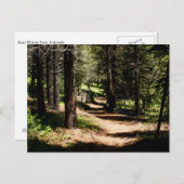 マツ郵便はがき-冬公園COの近くでハイキングします ポストカード (正面/裏面)