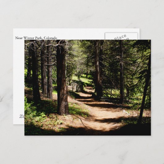 マツ郵便はがき-冬公園COの近くでハイキングします ポストカード (正面/裏面)