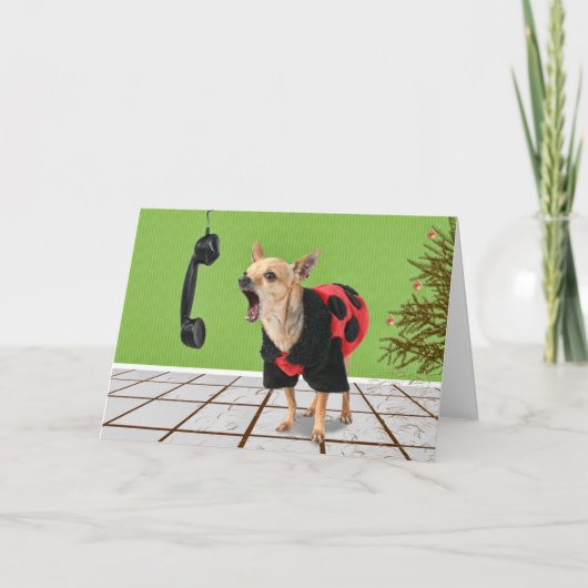 マツ針 シーズンカード (正面)