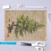 マツ、ヒマラヤスギ木、クリスマスツリー辞書の芸術、 薄葉紙 (クラフト)