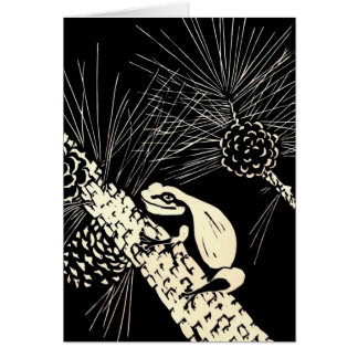 マツbarrensのアマガエル