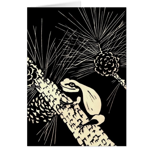 マツbarrensのアマガエル (正面)