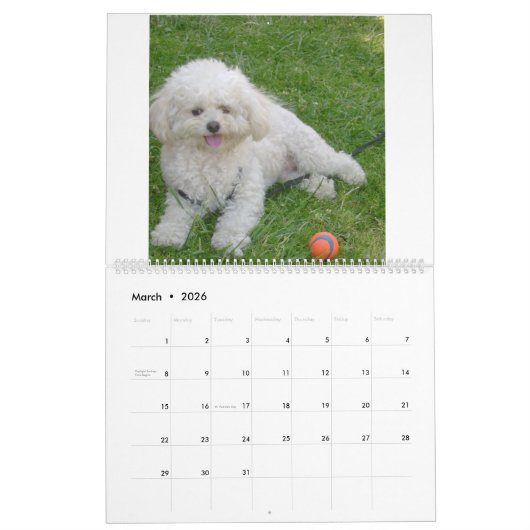 マティと友人 カレンダー (3月 2026)