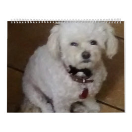 マティと友人 カレンダー