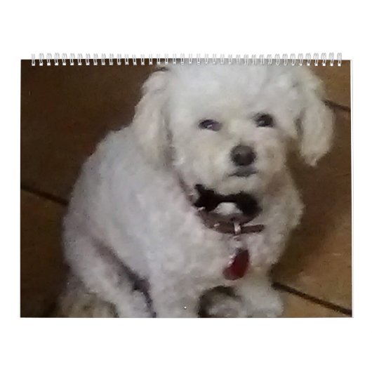 マティと友人 カレンダー (カバー)