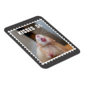 マティキス磁石 マグネット (右側)