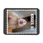 マティキス磁石 マグネット (横)