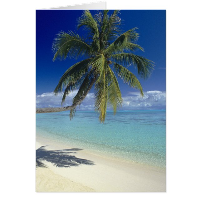 マティラビーチオンザアイランドオブボラボラ社会 (正面)