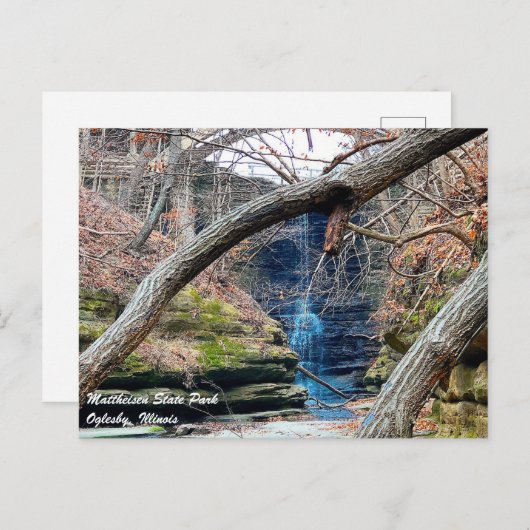 マティースセンイリノイ州パーク ポストカード (正面/裏面)