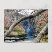 マティースセンイリノイ州パーク ポストカード (正面)