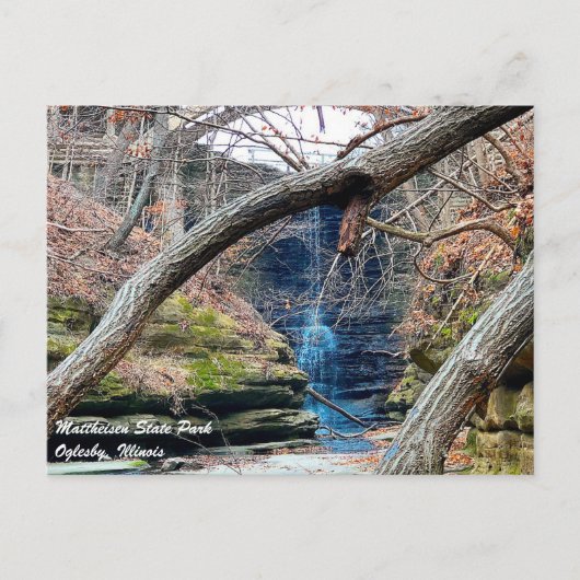 マティースセンイリノイ州パーク ポストカード (正面)