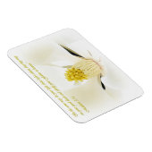 マテウ5:16 感動的 マグネット (右側)