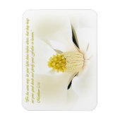 マテウ5:16 感動的 マグネット (縦)