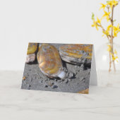 マテガイ カード (黄色い花)