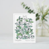 マテリアメディカオレガノスパイスハーブ勉強カード ポストカード (スタンド正面)