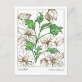 マテリアメディカネトル薬草ハーブ勉強 ポストカード (正面)