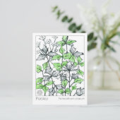 マテリアメディカパセリースパイスハーブ勉強カード ポストカード (スタンド正面)