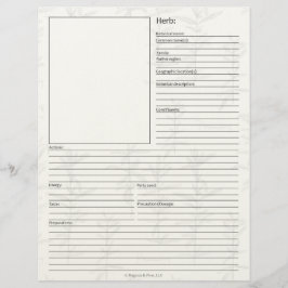 マテリアメディカプラントハーブ勉強ペー空白のジ レターヘッド