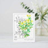 マテリアメディカループラントハバル勉強カード ポストカード (スタンド正面)