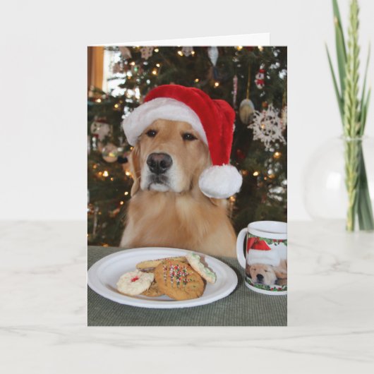 マディがサンタで待つ サンキューカード (正面)