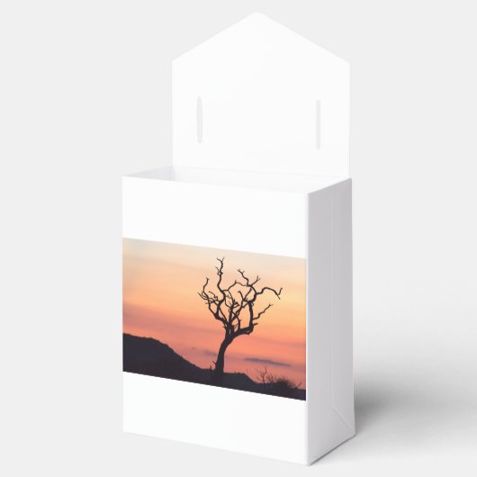 マディクウェの夕日 フェイバーボックス (オープン)