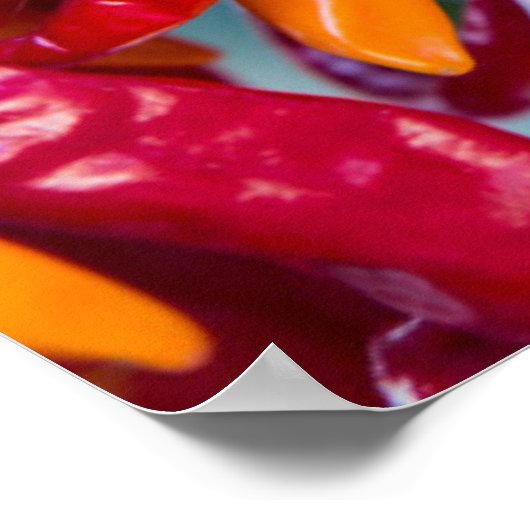 マディソンの農家市場で唐辛子の熱 ポスター (角)