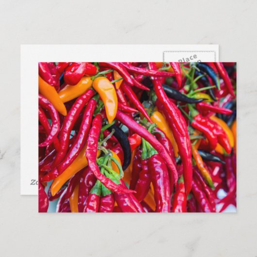 マディソンの農家市場で唐辛子の熱 ポストカード (正面/裏面)