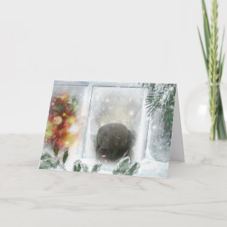 マディソンザブラックラブラドールクリスマスカード シーズンカード