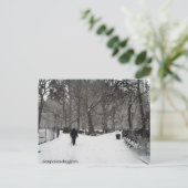 マディソンスクエアガーデン ポストカード (スタンド正面)